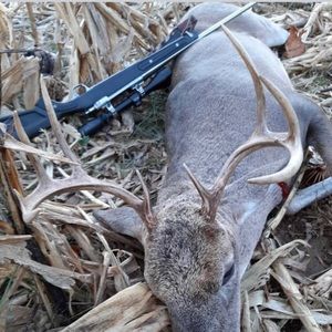 Meet your Posher, Logan